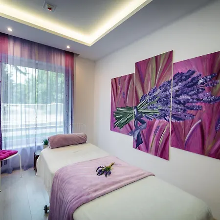 Liget Wellness Es Konferencia 4* Sarvaš