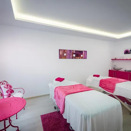 Liget Wellness Es Konferencia Hotel 4*