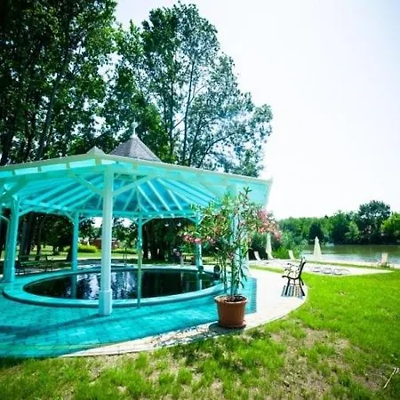 Hotel Liget Wellness és Konferencia 4*