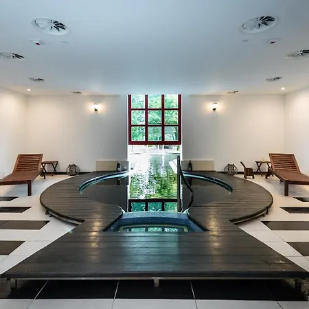 Liget Wellness Es Konferencia 4*