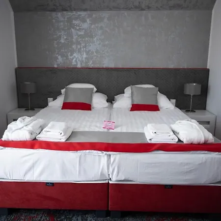 Liget Wellness Es Konferencia Hotel Sarvaš
