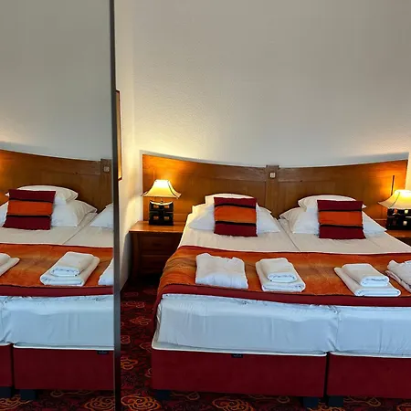 Liget Wellness Es Konferencia Hotel