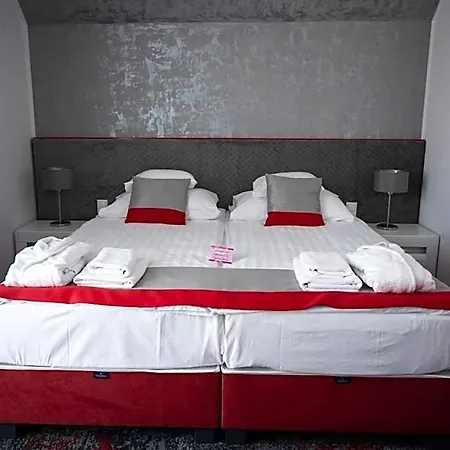 Liget Wellness Es Konferencia Hotell