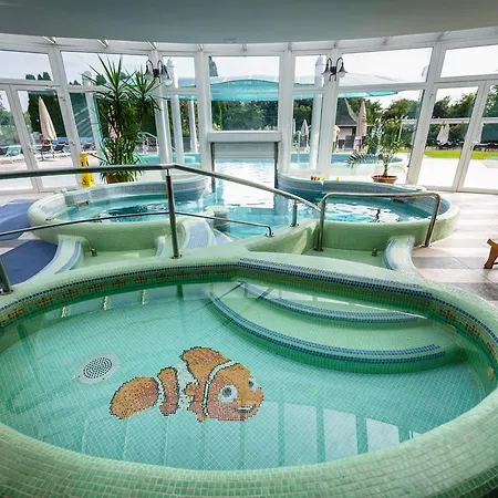 Liget Wellness Es Konferencia Otel