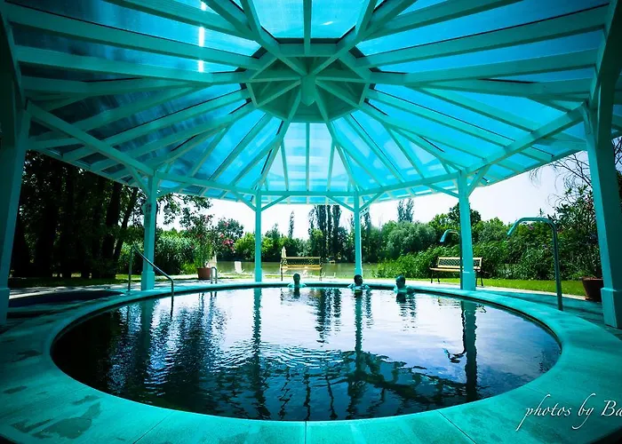 Liget Wellness Es Konferencia